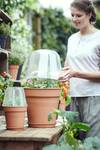 green basics kweekhuis rond 30cm transparant